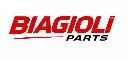 Logo Biagioli Parts.webp