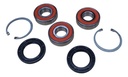 Biagioli Parts- Kit rodamientos rueda trasera BMW F 650GS 2009-2016, F 700GS 2011-2018, F 800GS 2008-2018, F 800GS Adventure 2012-2018