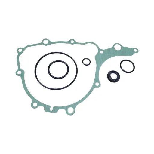 BM Racing - Kit sellos lado encendido Yamaha XTZ 250 - YBR 250