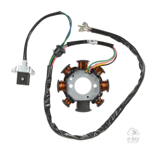 [DZE] Encendido Estator 2894 Mon. 8P AISLADO DE MASA Motomel BLITZ 110 / Motomel CUSTOM 200