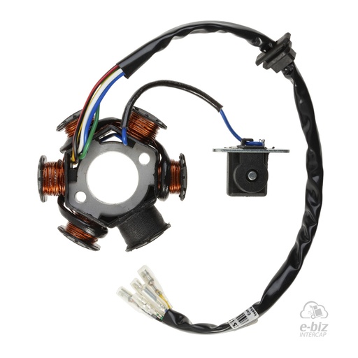 [DZE] Encendido Estator 2869 6P Conexión Masa Gilera Smash 110-125 20-23 || Mondial LD 110 2021 || Motomel Max 110 2022 || Gilera GLA 110