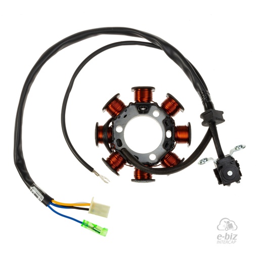 [DZE] Encendido Estator 2883 8P Conexión Masa AÑO 2006 AL 2008 2010 Yamaha XTZ 125 15-17, YBR 125 2015