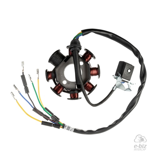 [DZE] Estator Estator 10116 Mon. 8P AISLADO DE MASA Motomel DAKAR 200 / CUSTOM 200