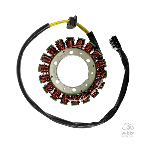 [DZE] Estator Estator 13017 Trif. 18P Aislado Masa BMW F GS 650-800 08-24, F GS Adventure 800 13-18 || BMW F 700-800