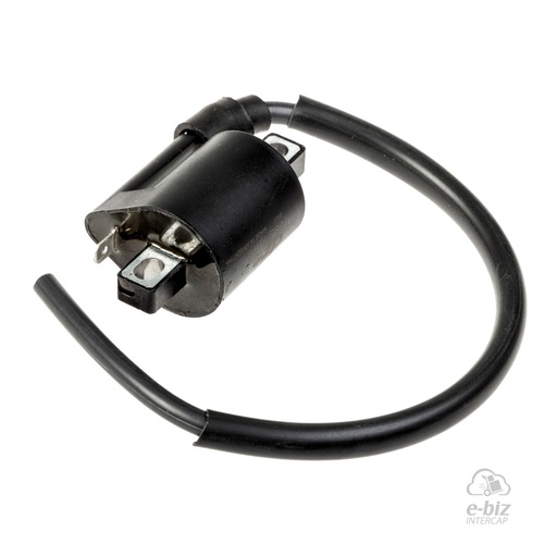 [DZE] Bobina de alta 10179 BIT ZB 125-CRYPTON Wave-Biz Appia Brezza 150 13-24 || Cerro BIX 110 05-24 || Corven Energy 110 06-12 || Gilera Smash 110 20-23 || Guerrero GT Day 110 04-24… (+2 marcas · 4 modelos)