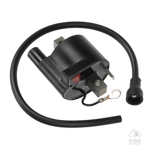 [DZE] Bobina de alta CDI 258 Suzuki AX 100 99-24