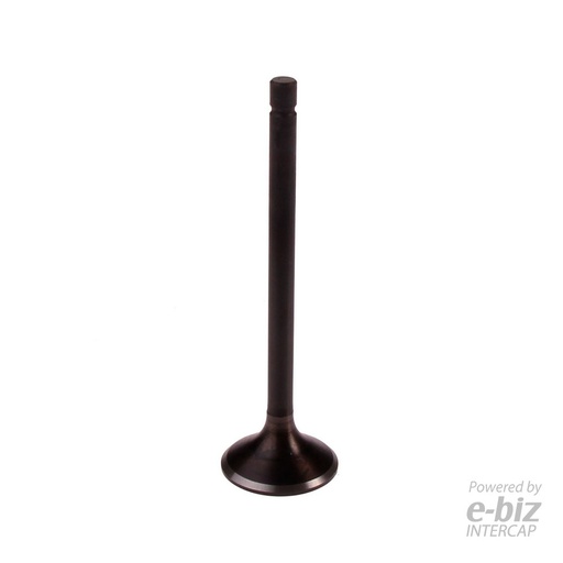 [BBB] Válvula de escape 23407-EBN XL250R