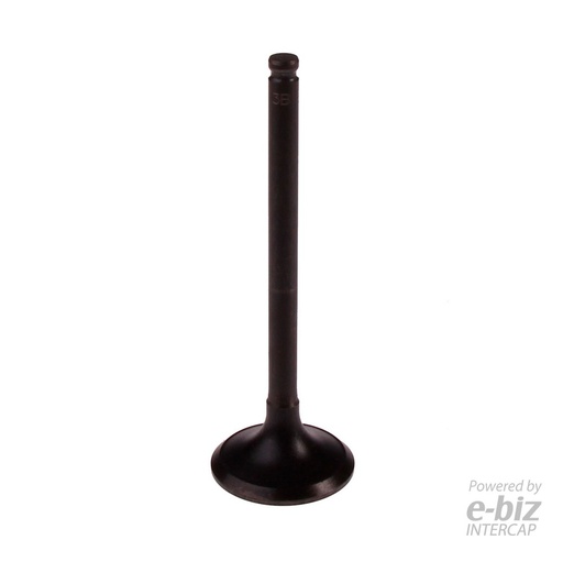 [BBB] Válvula de escape 4393-EBN TDM 900