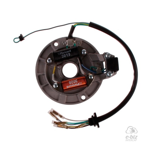 [Pietcard Electronica] Encendido 210 Plaqueta Bobina Alimentacion Sensor Luces Guerrero Econo 70