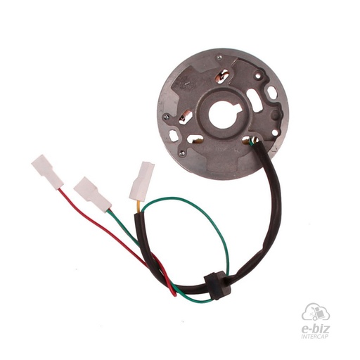 [Pietcard Electronica] Encendido 201 Plaqueta Bobinas Standard Zanella Ciclomotor