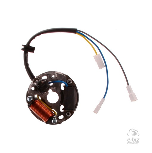 [Pietcard Electronica] Encendido 203 Plaqueta Semicompeticion Autoatraso Bobina Luces 25 Watt Zanella Ciclomotor
