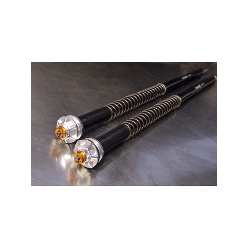 [Andreani] Kit de Cartuchos de suspensión horquilla regulables Misano EVO Honda SH 300 2006