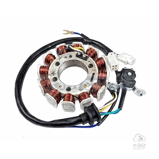 [Pietcard Electronica] Encendido 321 Estator 12 Conexion Masa 6 Cables Enc. Bateria Yamaha XTZ 125 15-17, YBR 125 2015