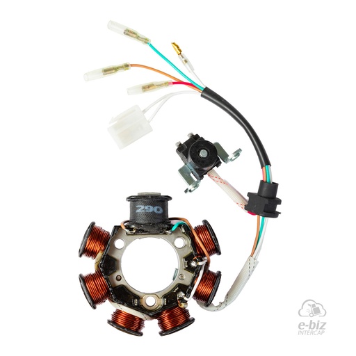 [Pietcard Electronica] Encendido 290 Estator Aislado Masa EJ Jianshe JS125F ENC Magneto