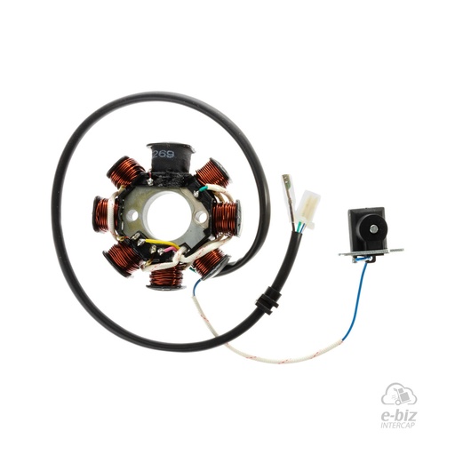 [Pietcard Electronica] Encendido 269 Estator 8 Aislado Masa ENC Magneto Kymco CK 6B 125 2006 || Kymco 125 Activ