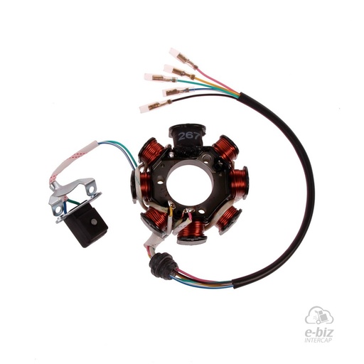 [Pietcard Electronica] Encendido 267 Estator 8 Aislado Masa ENC Magneto Honda Storm 125 07-12
