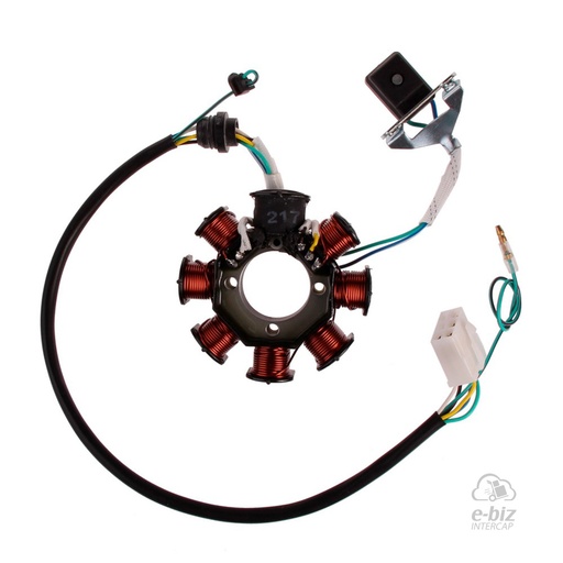 [Pietcard Electronica] Encendido 217 Estator 8 Aislado Masa Sensor Algunas S2-SR200 Motomel Skua 150 09-24 || Motomel CG 150 S1