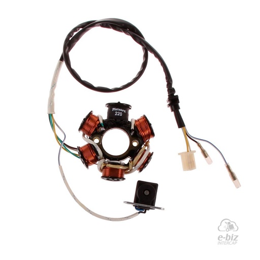 [Pietcard Electronica] Encendido Estator 6 CON Conexión Masa ENC MAG Zanella ZCT 125 || Mondial 125 FD