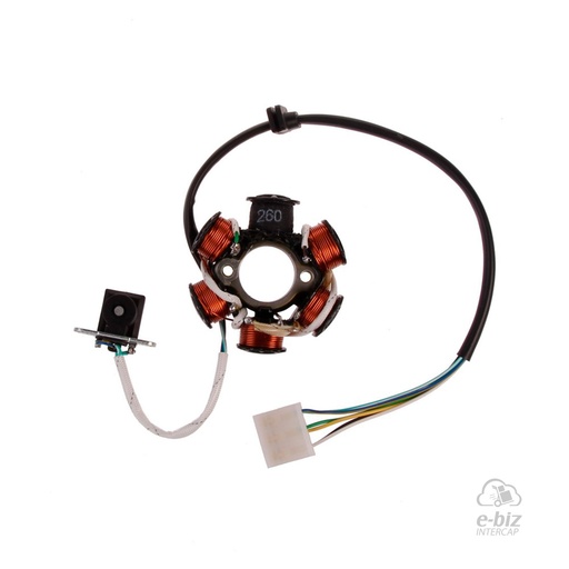 [Pietcard Electronica] Encendido 260 Estator 6 CON Conexion Masa AÑO ENC Magneto Zanella DUE 110 2005, SOL 110 2005 || Zanella 110 HJ