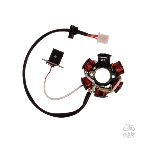[Pietcard Electronica] Encendido Estator Mon DE 6 P C / CONEXION A MASA EJ:Mondial RV 125 C / ENC A MAGNETO