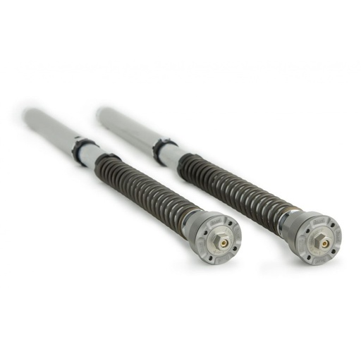 [Ohlins] Cartucho de horquilla NIX30 Suzuki GSX 8S 2024-25