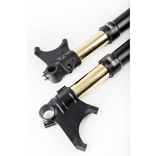 [Ohlins] Horquilla FGRT200 Ducati Diavel 2011-2018