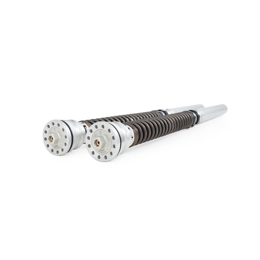 [Ohlins] Cartucho de Horquilla TTX25S Kawasaki Ninja ZX-10R 16-25, Ninja ZX-10RR 18-25, Suzuki GSX-R 1000 17-25