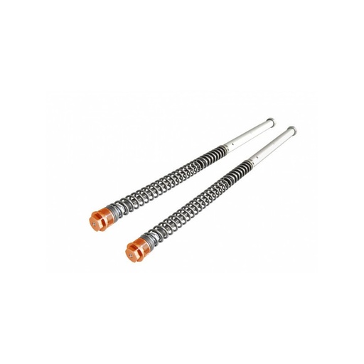 [Andreani] Cartuchos de suspensión horquilla regulables KTM SX 50 2017-22