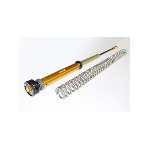 [Andreani] Cartuchos de suspensión horquilla lado aire + muelle KTM SX 125-150 2016-20