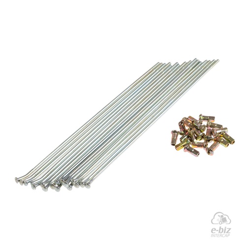 [33] Kit de rayos y niples Rayo-Niple 3.5 mm Bolsa 18 UN para Kawasaki KX 250 D 74-25, KX F 250 04-24