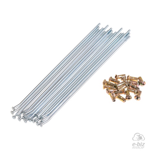 [33] Kit de rayos y niples Rayo-Niple 3.5 mm D Bolsa 18 Unidades Yamaha YZ 250 74-25, YZ 50TH 250 2024, YZ F 250 01-26, YZ F 50TH 250 2024, YZ F 50TH Anniversary 250 2006, YZ F 60TH Anniversary 250 2016… (4 modelos)