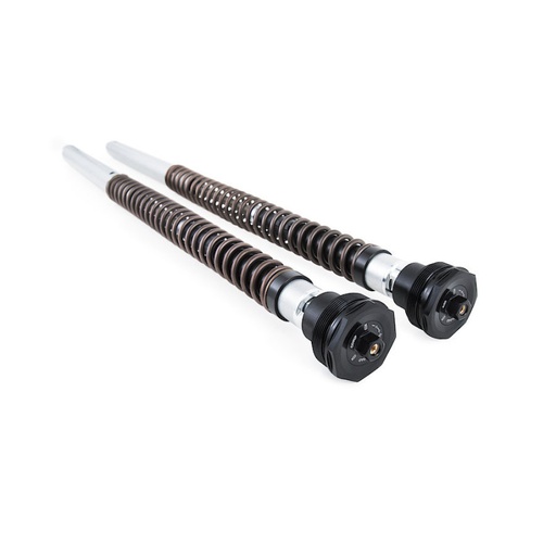 [Ohlins] Cartucho interno de suspensión horquilla NIX30 Husqvarna Norden Expedition 901 24-25 || KTM Adventure R 790 19-25, Adventure R 890 21-25