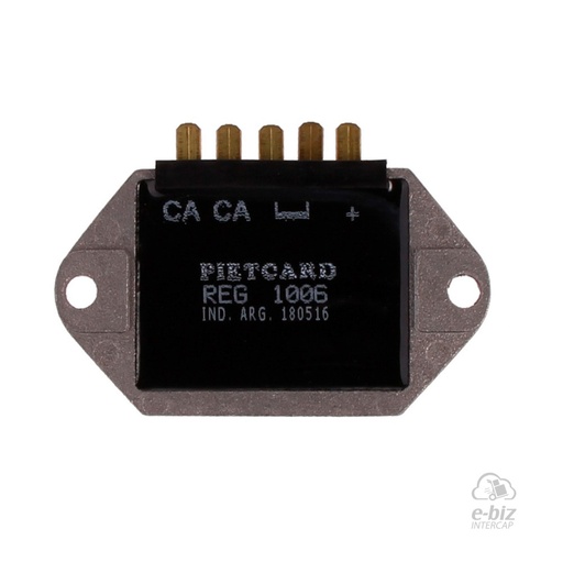 [Pietcard Electronica] Regulador de voltaje Corriente Continua 12V 1006 para Zanella RB-JR 200 - Patagonia con volante Motoplat en motos con batería, Zanella Patagonia Eagle 250 12-24