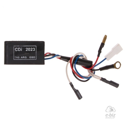 [Pietcard Electronica] CDI 2023 Kinetic 60 Safari / 60 Magnum / 60 Bijilee