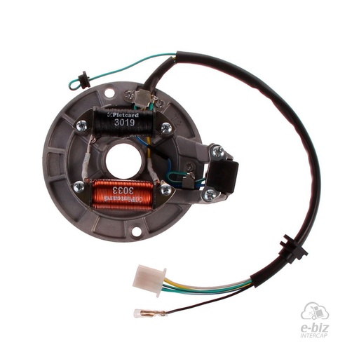 [Pietcard Electronica] Plaqueta de encendido 209 Bobina Alimentacion Sensor Luces 3 Puntos 21 Chapas Honda Biz 100-125 99-11 || Honda BIZ 105