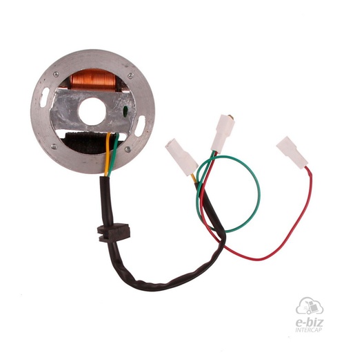 [Pietcard Electronica] Encendido 205 Conjunto Plaqueta con Bobinas de Alimentación 3046 y Luces 3047 para Bobina Alta 3202 Zanella