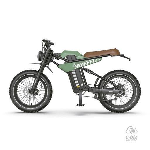 [SNAEFELL] Bicicleta eléctrica [Color: VERDE] MANTIS-P6