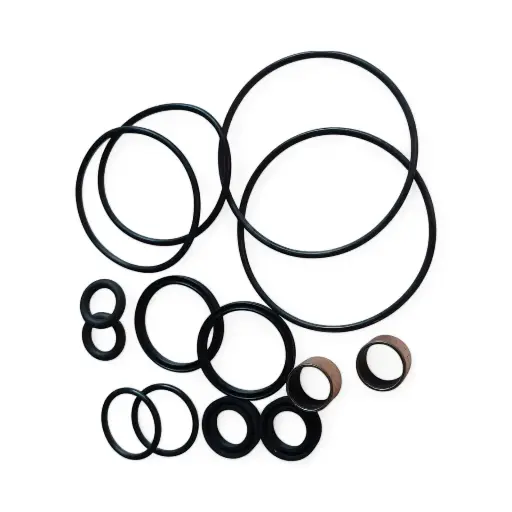 Kit sellos internos de Cartuchos (Reten + otros sellos) WP Closed cartbrige 2024