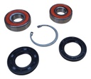 Kit Rodamientos Rueda Trasera Bmw F 650-700-800gs 09-18