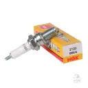 [NGK] Bujia D8EA  Brasil