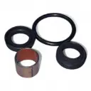 Kit sellos Monoshock RVM CZ 250 T (17mm) 