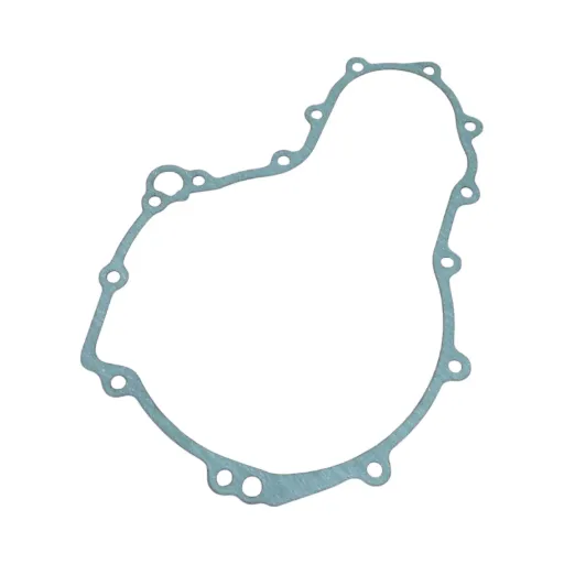Biagioli Parts - Junta tapa de encendido BMW F 650GS 2009-2016, F 700GS 2011-2018, F 800GS 2008-2018, F 800GS Adventure 2012-2018